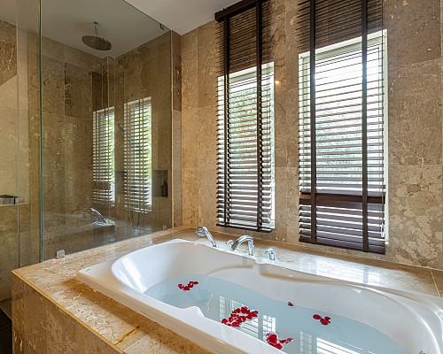 New One Bedroom Penthouse Suite with Rooftop